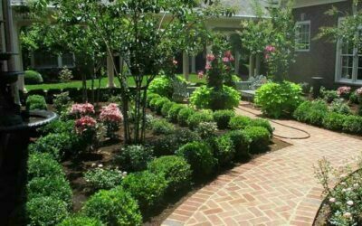 Garden Supply Store Near Me: Why Redmond’s Is Lexington’s Go-To Gardening Destination