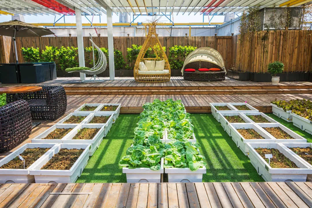 backyard landscaping ideas