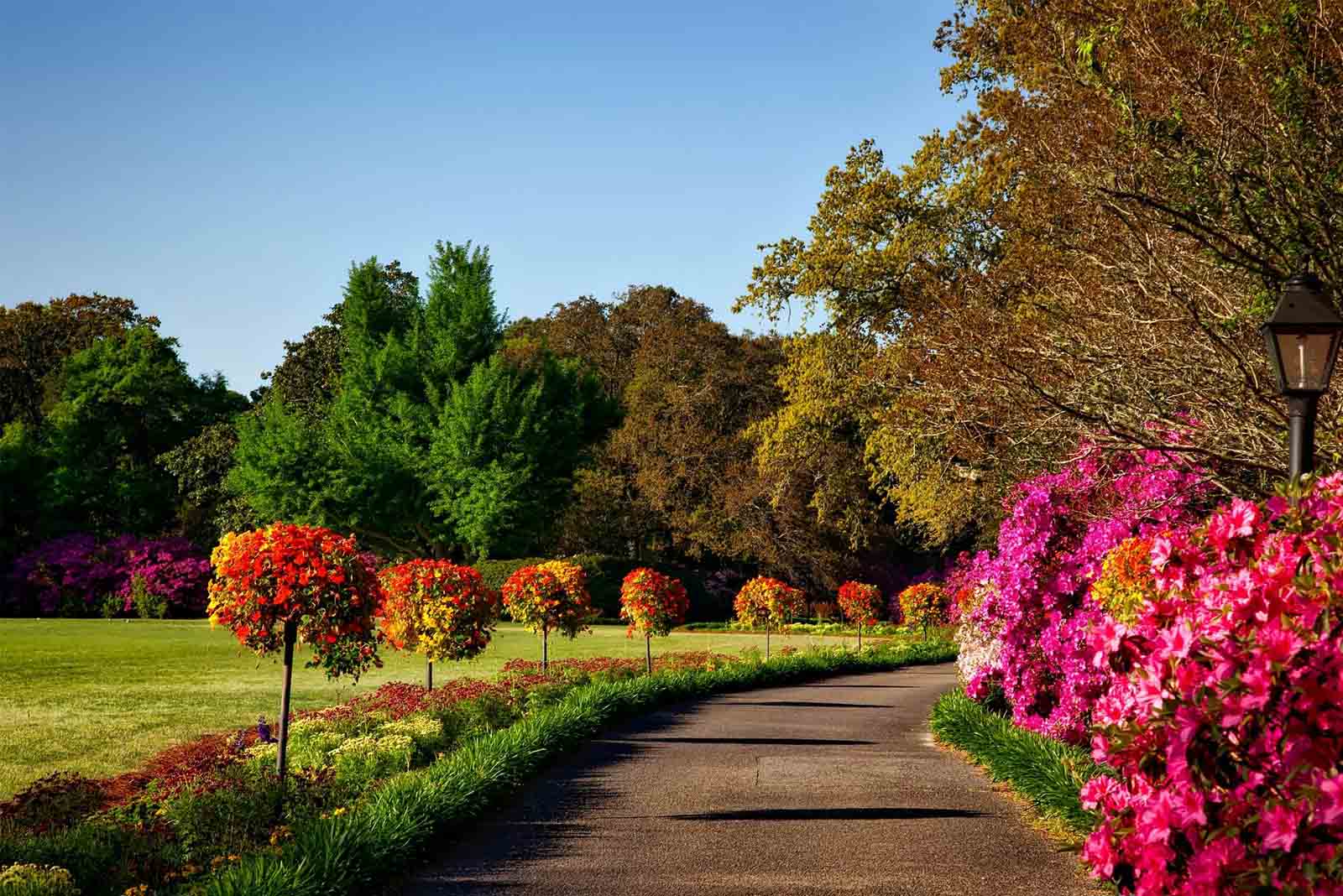Custom Landscape Installation-img - Redmonds Garden Center custom landscape installation Lexington KY