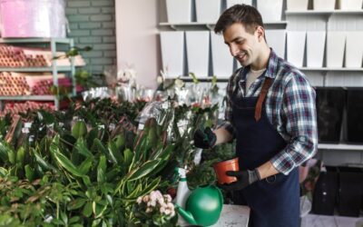 Landscaping Lexington KY – Professional Landscape Design & Installation