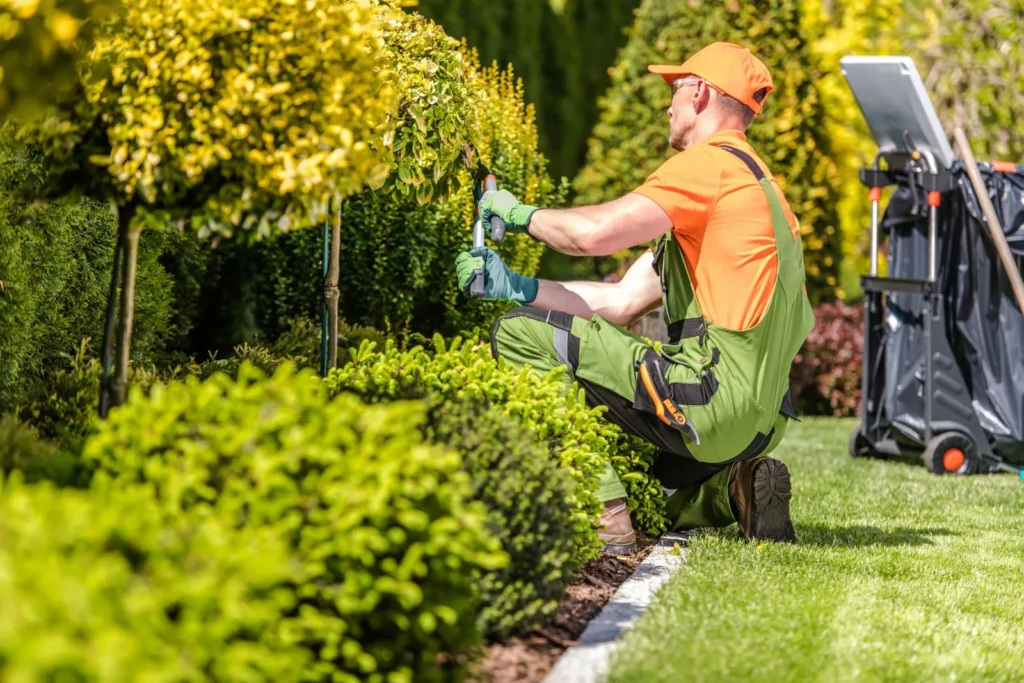 local garden center trees and shrubs inventory - Redmonds Garden Center local garden center trees and shrubs inventory