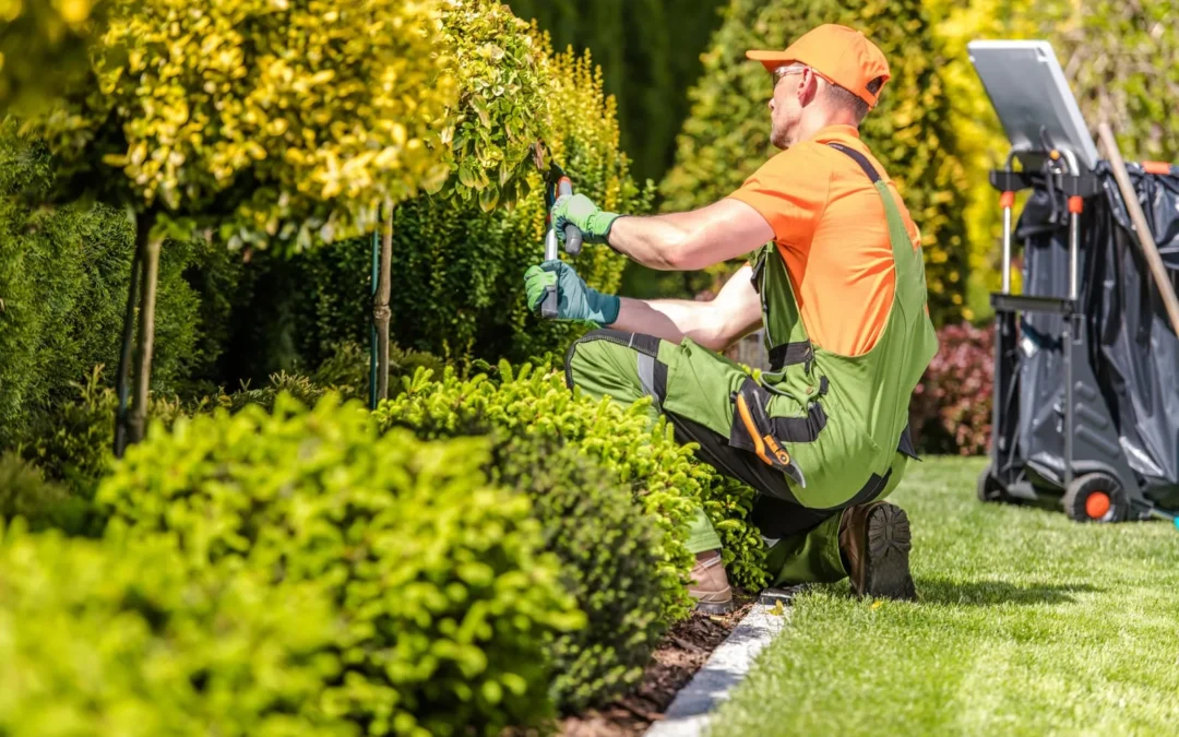 Landscaping Company Lexington KY – Professional Landscaping Services for Beautiful Outdoor Spaces