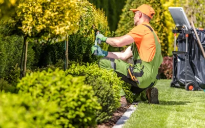 Landscaping Company Lexington KY – Professional Landscaping Services for Beautiful Outdoor Spaces