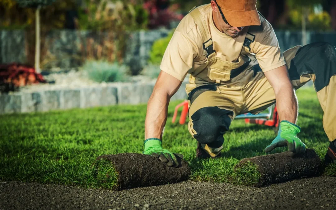 Local Garden Center: The Complete Guide to Finding Better Plants, Better Advice, and Better Landscaping Results